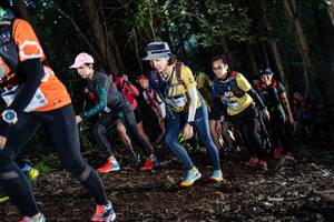 BIB: 
                            <button type="button" onclick="openModal(19041381)" class="btn btn-primary btn-sm float-right btn-popup" data-toggle="modal" data-target=".modal-high-quality">
                        <i class="fas fa-shopping-cart"></i> Add to Cart
                    </button>
                                            <button type="button" onclick="isThisMe(19041381, true)" class="btn btn-success btn-sm float-right btn-popup btn-isme hidden" data-toggle="tooltip" data-placement="bottom" title="นี่คือรูปของคุณใช่ไหม คลิกที่นี่เพื่อเอาเข้าอัลบั้ม">
                        <i class="fas fa-plus"></i> Add to album
                    </button>
                    <button type="button" onclick="isThisMe(19041381, false)" class="btn btn-warning btn-sm float-right btn-popup btn-isnotme hidden">
                        <i class="fas fa-ban"></i> Remove from album
                    </button>